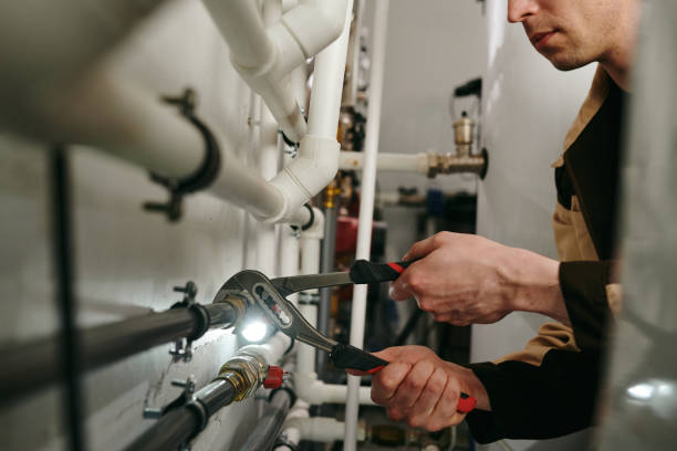 Best Clogged Drain Plumber  in Lemon Hill, CA