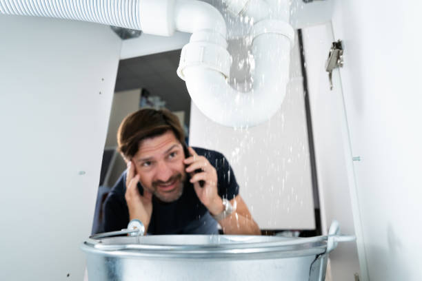 Best Plumbing Inspection Services  in Lemon Hill, CA